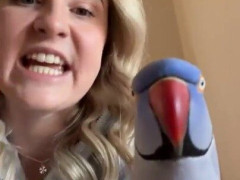 飼い主が熱く語り出すと肩のインコも全力で参戦「で、誰と戦うんだ！？」【海外の反応】