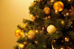 俺「クリスマスツリーにプリンセスの飾りはどう？」嫁「クリスマスツリーの品位が下がるわ」俺「……」