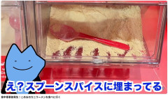 【悲報】こめおの蟹ラーメン屋『かにを』、トッピング用のスプーンが不衛生すぎて批判噴出