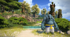 【FF14】モグコレ天文でVD「アロアロ島」をクリアする際は左ルートがお勧め！とある高額な家具がドロップするぞ！