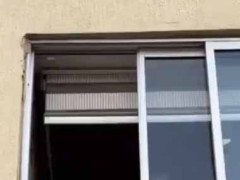 ２階の窓が開いていた。外に何かいるのかな？ → かわいい姿はこちらです…
