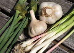 はっきりいう、「ニンニクの芽」が全野菜の中で一番美味い😡