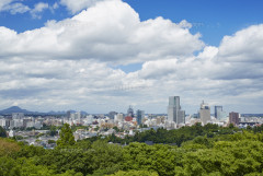 【悲報】24歳頃大学生女子、68歳男性を包丁で刺す…背後に隠された危険な関係がこれｗｗｗｗｗ