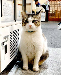 今年３７歳、仲間内で一番最後の結婚式が私。今まで友人の式に参加してきて、今度は私の番！と思ってたんだけど、全員に断られてしまった。友人だと思ってたのは私だけだったのかな。