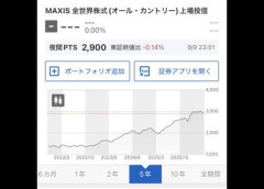 【悲報】ワイのNISA、ガチで大暴落ｗｗｗｗｗｗｗｗｗｗ