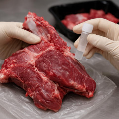 中国から持ち込まれたヤギ生肉から感染性のある口蹄疫ウイルス 新千歳空港の検疫で初確認