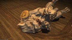 【FF14】魔獣使いのペット「クーシー」はなでるエモートをするとお腹を出してゴロンしてくれる。可愛くてなでるエモしまくる魔獣使いたち