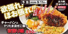 【悲報】かつや、壊れる。とんでもない新メニューを発表