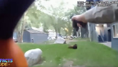 【衝撃映像】アメリカの警官、親子連れのクマを射殺😢