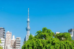 女性に聞いた老後を過ごしたい｢都道府県｣ランキング！2位は｢沖縄県｣ 1位は｢東京都｣