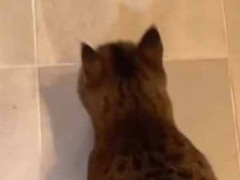 同居している彼は少し個性的だった。腹減ったんだけどぉ～！ → こんな声です…
