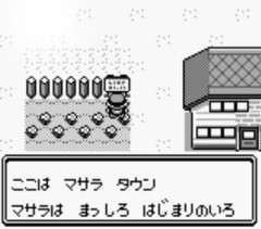 マサラタウンの周りってポッポとコラッタしか居ないのなんで？