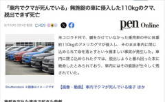 「車内でクマが死んでいる」無施錠の車に侵入した110kgのクマ、脱出できず死亡