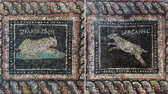 約1800年前の古代ローマ遺跡で、愛猫と愛犬の名前が刻まれたモザイク画を発見
