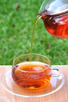 【悲報】「ルイボスティー🥃」とか言う、クッソ不味いお茶何なの？🥺