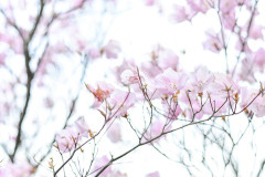 嫁が置き手紙をして出ていった。「昨日は私達の誕生日、それと結婚記念日だったね。今年も奮発してあなたの名刺入れを買ったんだよ。けどあなたは今回も帰ってこなかったね」