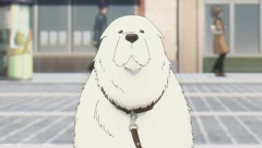 【謎】ペット業界「まって、犬飼う人が減った…なんで？」