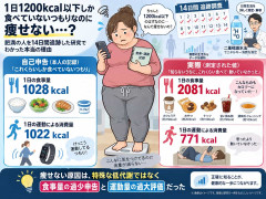 食事量は1日1200kcal以下、でも肥満な人を14日間追跡調査　痩せない理由は……米コロンビア大などの研究