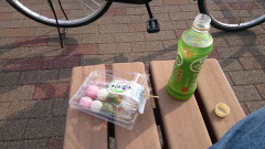 【画像】昔はこのレベルの和菓子が「100円以下」で買えたんだよな…
