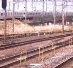 【鉄道】これ乗ってみたい