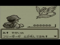 伝説のポケモン全部捕まえずに倒してるんやけど