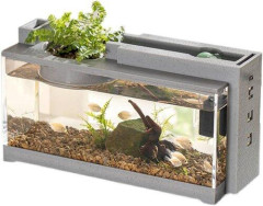 【悲報】3Lの極小水槽にメダカとアカヒレを１匹ずつ入れた結果