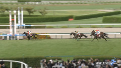 【ローズS】モンローウォーク＆戸崎騎手がｷﾀ━━━━(ﾟ∀ﾟ)━━━━!!