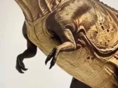 恐竜は絶滅したと言われている。いや、今も身近に生きている！ → うちにいるダイナソーはこちらです…