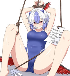 【東方】人間を脅かす悪い妖怪は残らず退治よ！
