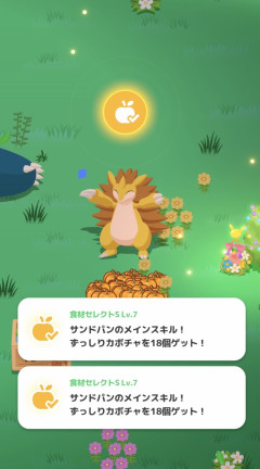 【ポケスリ】食材セレクト持ちサンドパンは強い？カボチャ供給役として他のポケモンと比較してみた
