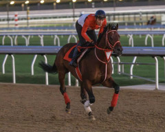 【競馬】ジョッキークラブゴールドC、フォーエバーヤングは7頭立ての大外7番ゲート 相手関係はどうなん?