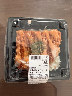 【画像】これで250円安くない？カツ丼