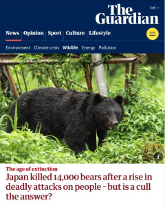 イギリス紙「13人の犠牲でクマを1.4万頭駆除する日本、それは道徳的だろうか？」