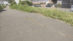 大阪市東淀川区で速度違反のバイクが覆面パトカーに追跡される→バイクの速度が速くパトカーが追跡を中止するも1分後にバイクが転倒し運転していた30歳男性が死亡