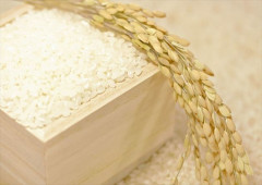 農家生まれなので新潟県産コシヒカリしか食べたことがなかった私がブレンド米を初めて食べてしまった結果……ｗｗ