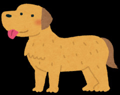 彼女｢昔飼い犬捨てたことあるんだよね｣