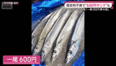 もうスーパーでサンマ売ってる？