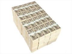 【悲報】いきなり5億円が手に入ったら最初の1か月は何をする？