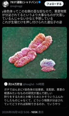 【悲報】Ｙ染色体、キモすぎて炎上するｗｗｗｗｗ
