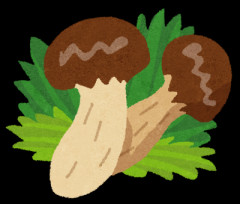 【ｸﾚｸﾚ】スーパーでご近所さんに「今晩はマツタケ料理？後で遊びに行っちゃおうかな」と言われやんわり拒否→その後、子供4人引き連れて家に凸してきたんだが