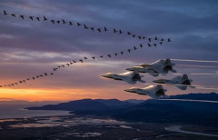渡り鳥の「磁気コンパス」はなぜ機能する?…量子生物学の謎に迫る新たな数学理論！