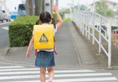 【動画】日本人さん、横断したい人を無視してしまうｗｗｗ