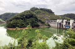 【広島】存在しないはずの魚1万匹が大量死、ダム湖で起きたミステリー