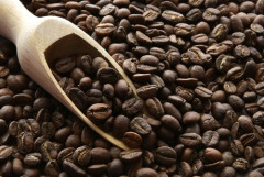 【悲報】コーヒー豆を使用しないコーヒー「風味」飲料を各社が開発、貧民は代替品を飲む時代に