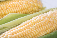 とうもろこしとかいう謎の食べ物www