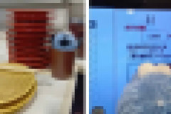 【悲報】ぬいぐるみを寿司屋のコップに入れただけで炎上wwwwwwwwwwwwwwwwwwwww