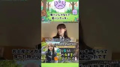新しい福井のお菓子を誕生させる竹内希来里