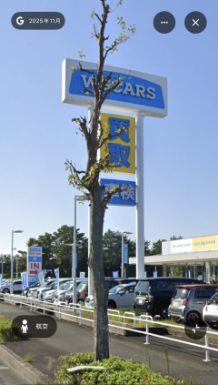 【感動】ビッグモーターに枯らされた街路樹、再生して芽吹く！！！