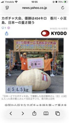 【悲報】日本人さん455キロ程度の大きさのカボチャではしゃいでしまう