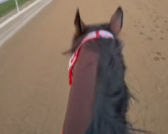 【競馬】フォーエバーヤング、JCGCの最終追い切り映像